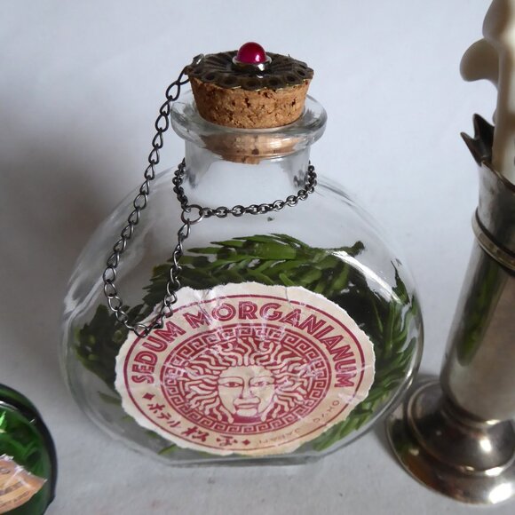 NEW HALLOWEEN GOTHIC HORROR TABLE CENTERPIECE APOTHECARY PROP ODDITY SKULL TRAY - Picture 10 of 15